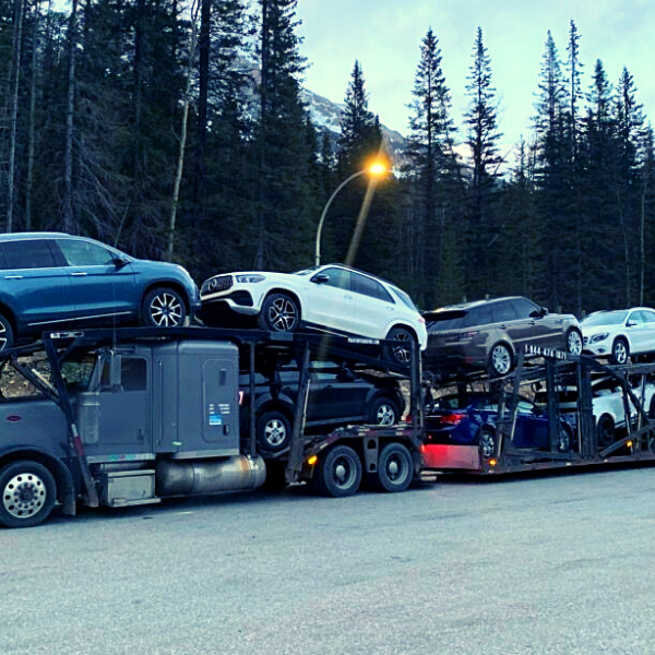 Open Car Shipping Service