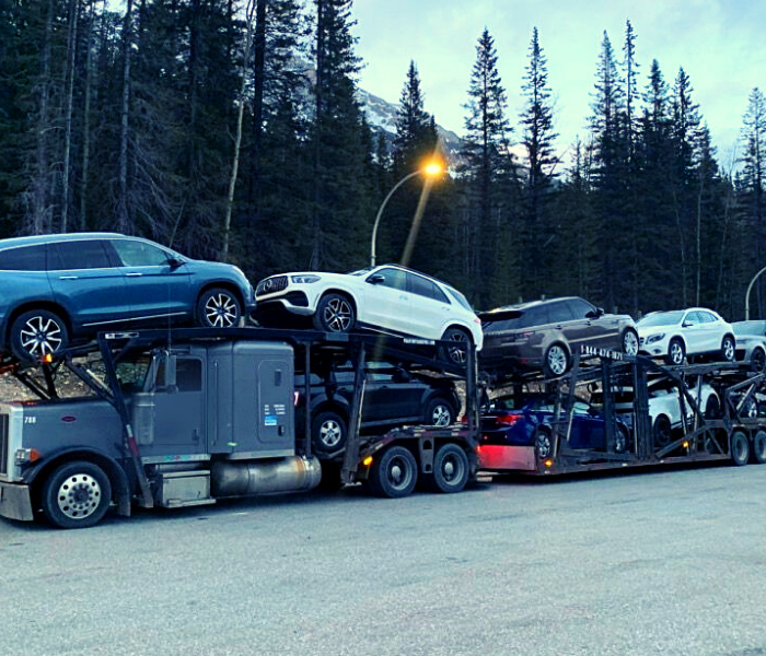 Open Car Shipping Service