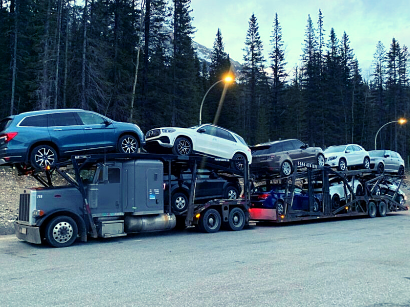 Open Car Shipping Service